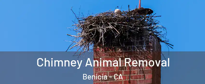 Chimney Animal Removal Benicia - CA