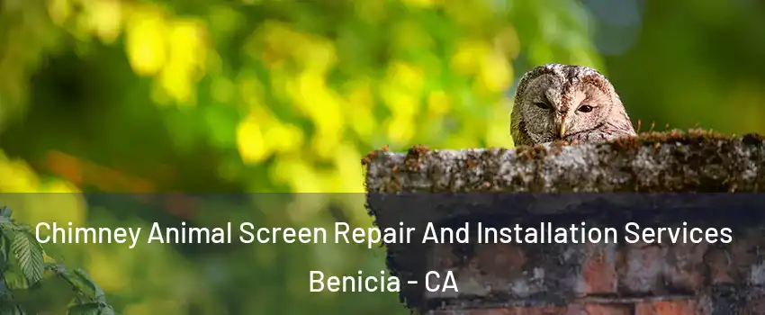  Chimney Animal Screen Repair And Installation Services Benicia - CA