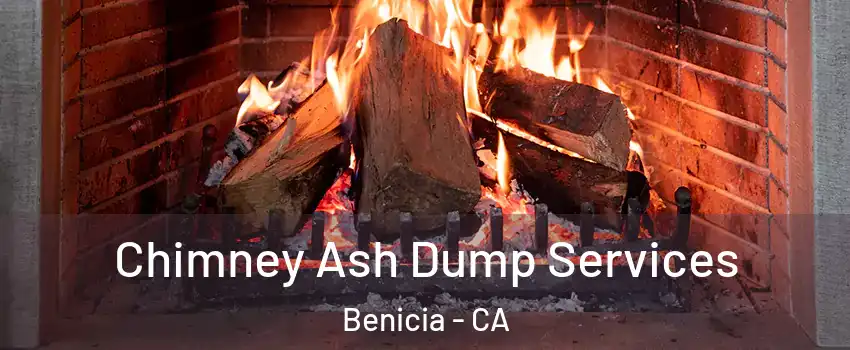 Chimney Ash Dump Services Benicia - CA