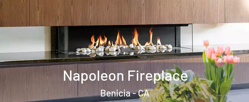  Napoleon Fireplace Benicia - CA