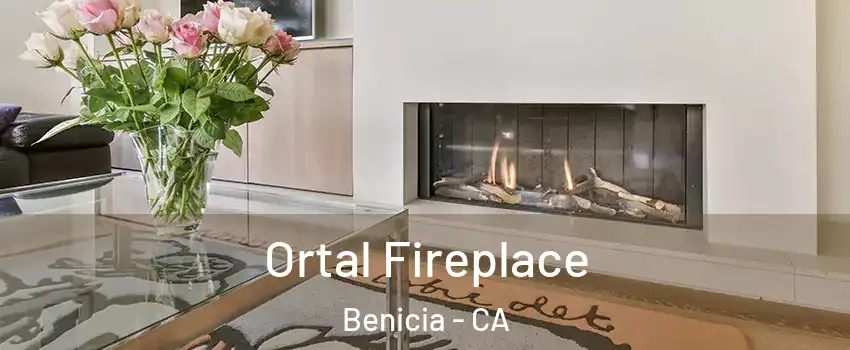  Ortal Fireplace Benicia - CA